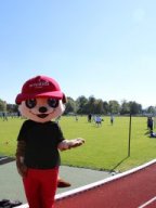 Jugendfussball